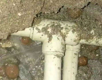 浦城测漏水多少钱