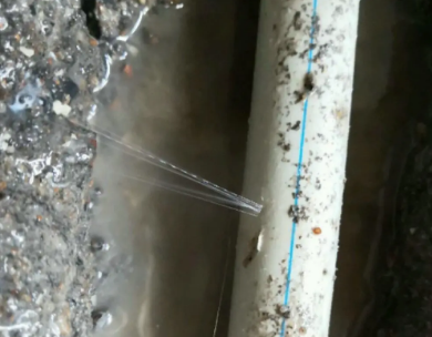 浦城测漏水哪家好