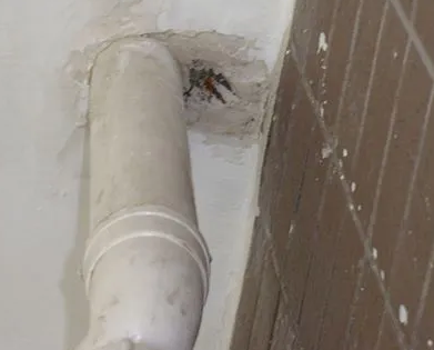 浦城漏水检测哪家好